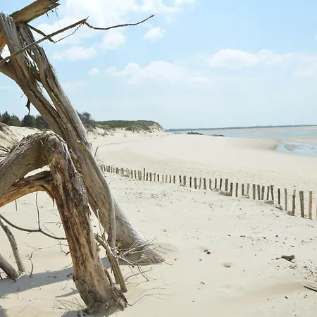 Face Parking 4 Personnes Wifi アパート